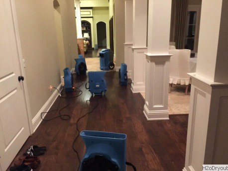 Water Damage Repair Cape Coral